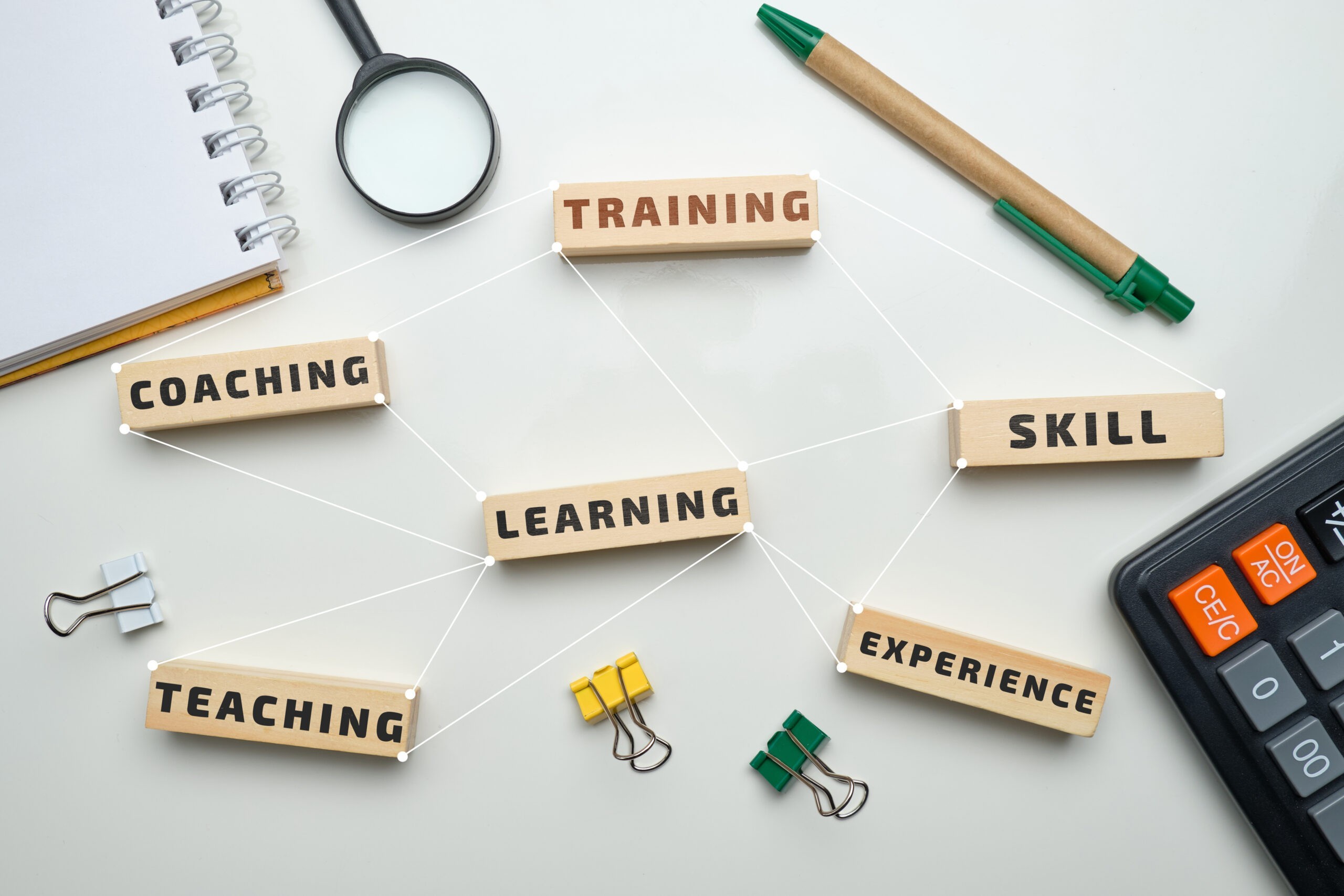 Education, Skills, and Careers